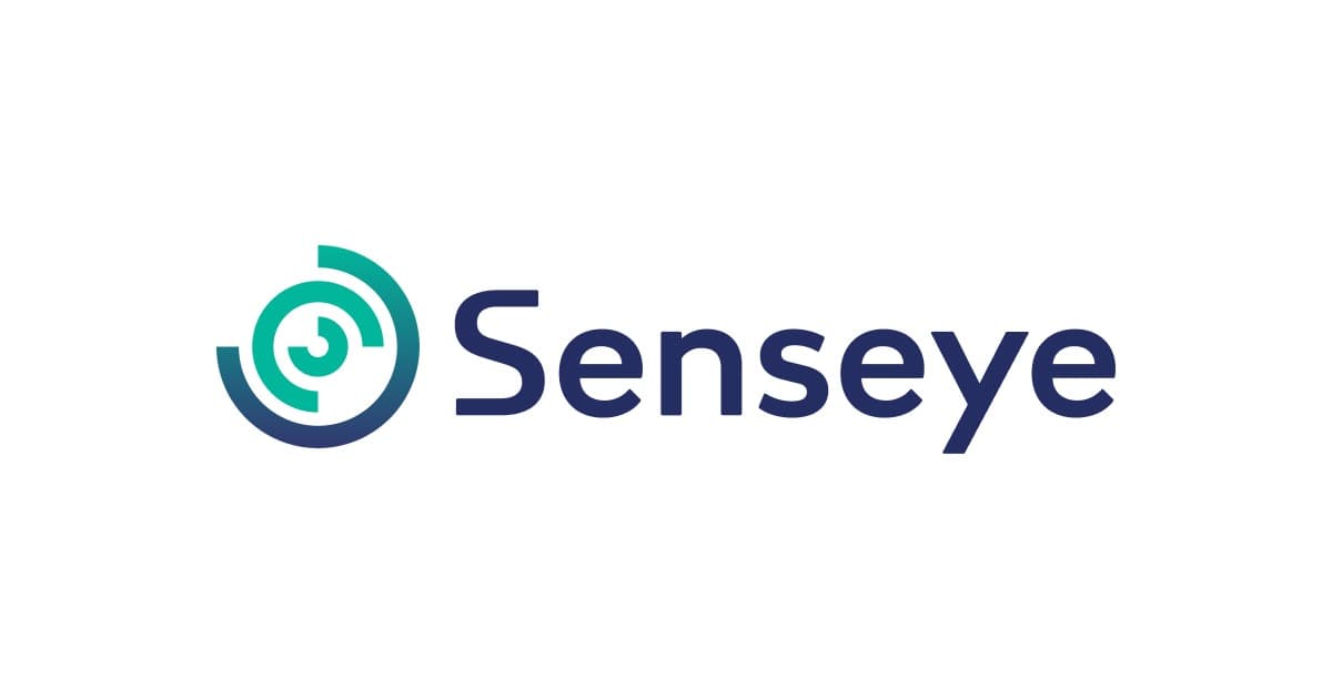 Senseye project preview